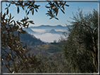 foto Colline Marosticane nella Nebbia